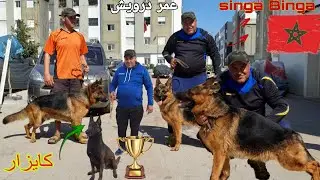 سوق القريعة بالدار البيضاء 🇲🇦 مع المولوع اختصاص في الكلاب مالنيوا شاربون عمر درويش وأتمني جدا مناسب
