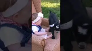 #cutenessexplosion #babybites