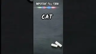 Full form of CAT ! Full details of CAT #cat #shorts