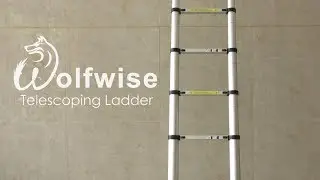 Wolfwise Telescoping Ladder