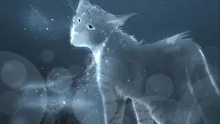 Warrior Cats Alle Tode / Staffel 1-6 Anfang + Special Adventures