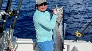 Wahoo con planeador pescando en puerto aventuras