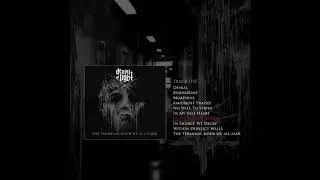 Denial of Light - Never Ending Strain