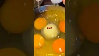 The Difference Between Organic Eggs and Normal Eggs! #podcast #egg