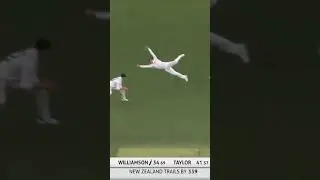 Steve Smith flying catch 🔥🔥🔥 Aus vs Nz