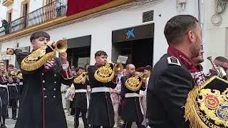 Domingo de ramos mañana 2025. Borriquita y Palma