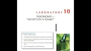 10 Bio 103 lab Taxonomy