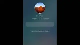 Switch to translators mode (YesPo - real time human translation app)