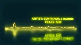 BoyPanda X Raddix - She