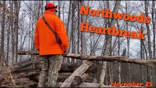 Northern Wisconsin BIG WOODS Gun Hunt | Wisconsin Public Land Whitetail Deer Hunting