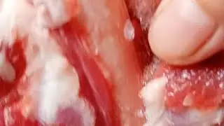 نہ گرم پانی ، نہ گھنٹوں انتظار، فروزن گوشت 10منٹوں میں کھلے #defrost #meat #quick