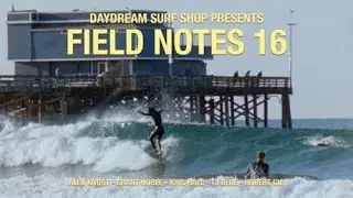 Field Notes 16 Knost, Noble, Hall, Blue, Guy