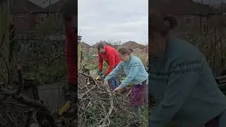 One system for every pruning job. Shared battery. Shared extension pole.