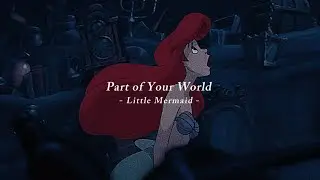 【和訳】Part of the World - リトルマーメイド
