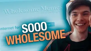 Wholesome Memes Reddit | SDWT Podcast