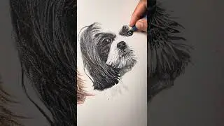 Animal eye drawing