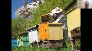 Natural Beekeeping That Works with Dr.  Leo Sharashkin Revisit Part Two