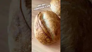 When bulk fermentation is done #shorts