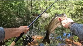 FISHING FOR BASS IN THE DEEP BACKWOODS (Huge FISH Caught)