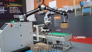 Collaborative Palletizing Robot | Fast, Flexible & Hands-Off Production