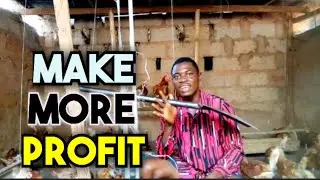 How to clean a poultry house part 2|Chicken Farming.