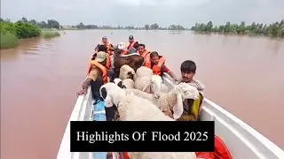 River Ravi Flood 2025