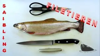 FISCH filetieren (SAIBLING) Schritt für Schritt
