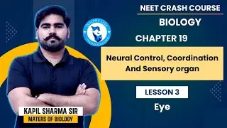 Biology Chapter 19 - Neural Control, Coordination And Sensory Organ | Lesson 3 - Eye | NEET 2024