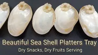 Beautiful Sea Shell Serving platters for Snacks & Dining table #kitchen #best #beautiful platters
