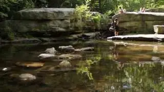 Visit Vortex presents - the Mohonk Preserve