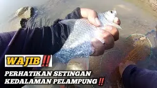 TRIK JITU‼️CARA MANCING IKAN RARANCAK DI SPOT YANG DALAM DAN BERARUS TENANG ‼️