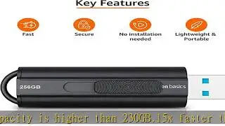 Amazon Basics 256GB Ultra Fast USB 3.1 Flash Drive
