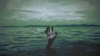 The Vines - Venus Fly Trap ( Slowed + Reverb )