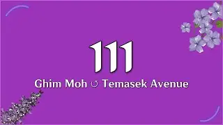 SBS Transit Hyperlapses: Service 111