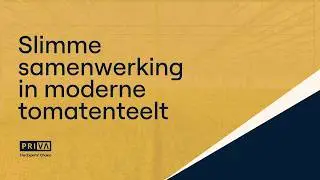 CombiVliet & Priva: Slimme samenwerking in moderne tomatenteelt
