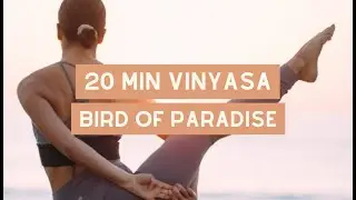 20 min Vinyasa Flow: Bird of Paradise