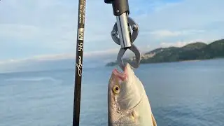 【シュガペン70f】トップを使いましょう！トップでしか釣れません