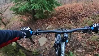 Carnetown carnage #eccycles fern track
