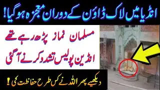 India Main Howa ALLAH Ka Mojza | Lion Guarding at Mosque | Miracle Of ALLAH indian mein mojza