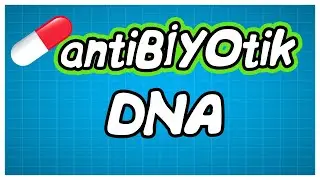 antiBİYOtik / AYT DNA / AYT Biyoloji