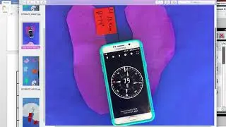 Vector Project Instructions