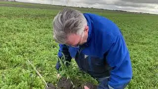Biodivers Perspectief Peter Appelman