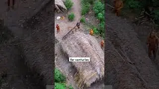 The North Sentinel Island : The Mysterious and Isolated place on Earth