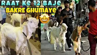 Aaj ￼Raat Ke 12 Baje Bakre Ghumaye Mai Maza Aagaya || MD ANAs VLOGs
