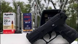 Velocitor vs Interceptor - battle of the 40 grain 22 LR hollow points, tested from a 3.5