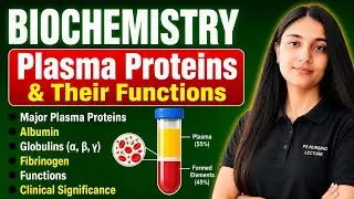 🛑Plasma Proteins and Their Functions | Nursing Notes | Biochemistry