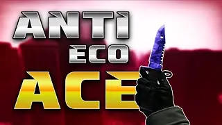 Anti Eco ACE!