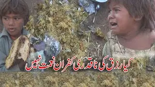 Food Waste In Pakistan | Documentary on Food Waste | Food Safety Standards | Abdul Majeed Batti