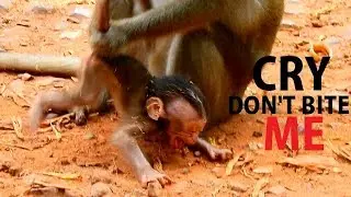 AFTER MILK .... MOM MISTREAT !! Poor Alba cry loudly so sad Mom do bad catch out stop milk.