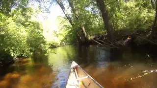 East Branch Salmon Brook (Granby, CT) - Part 2